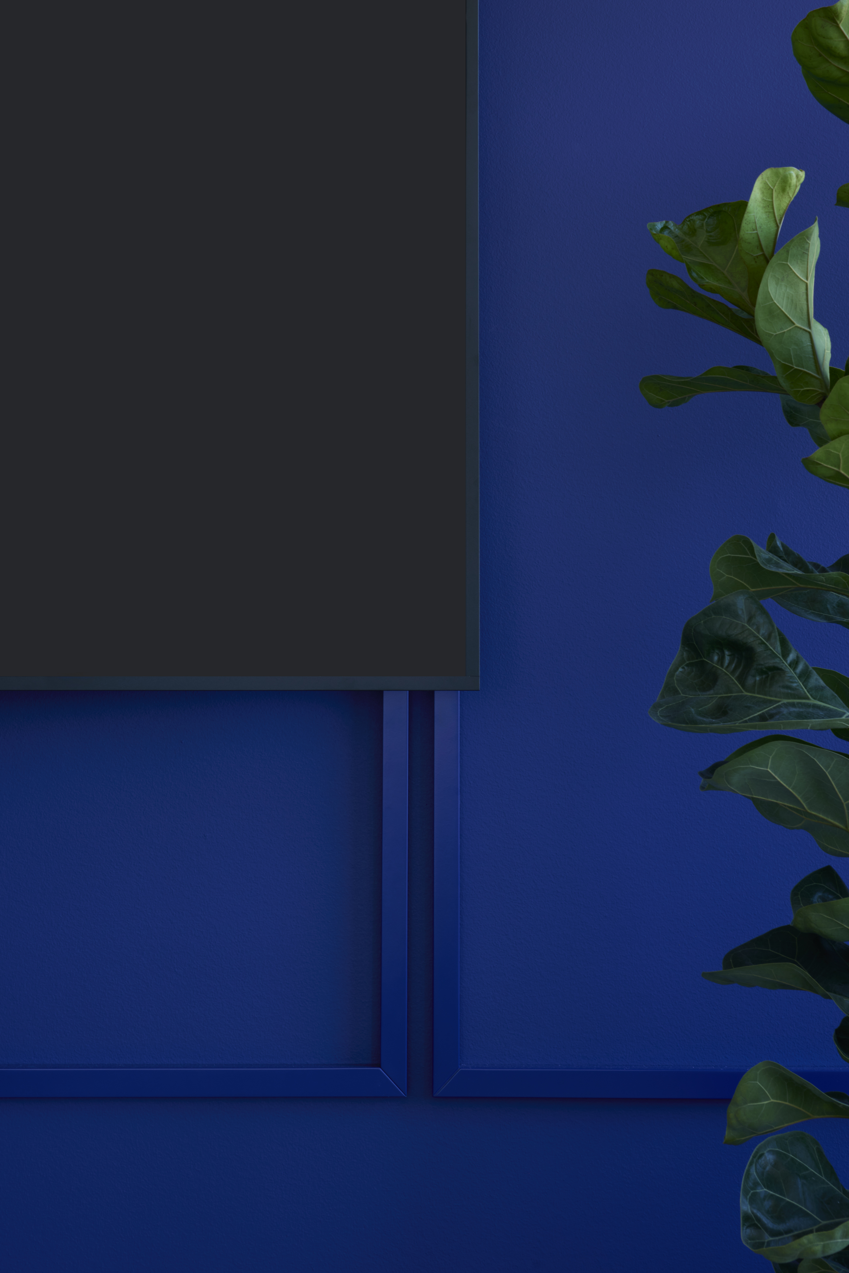 Blauer Besprechungsraum mit Pflanzen