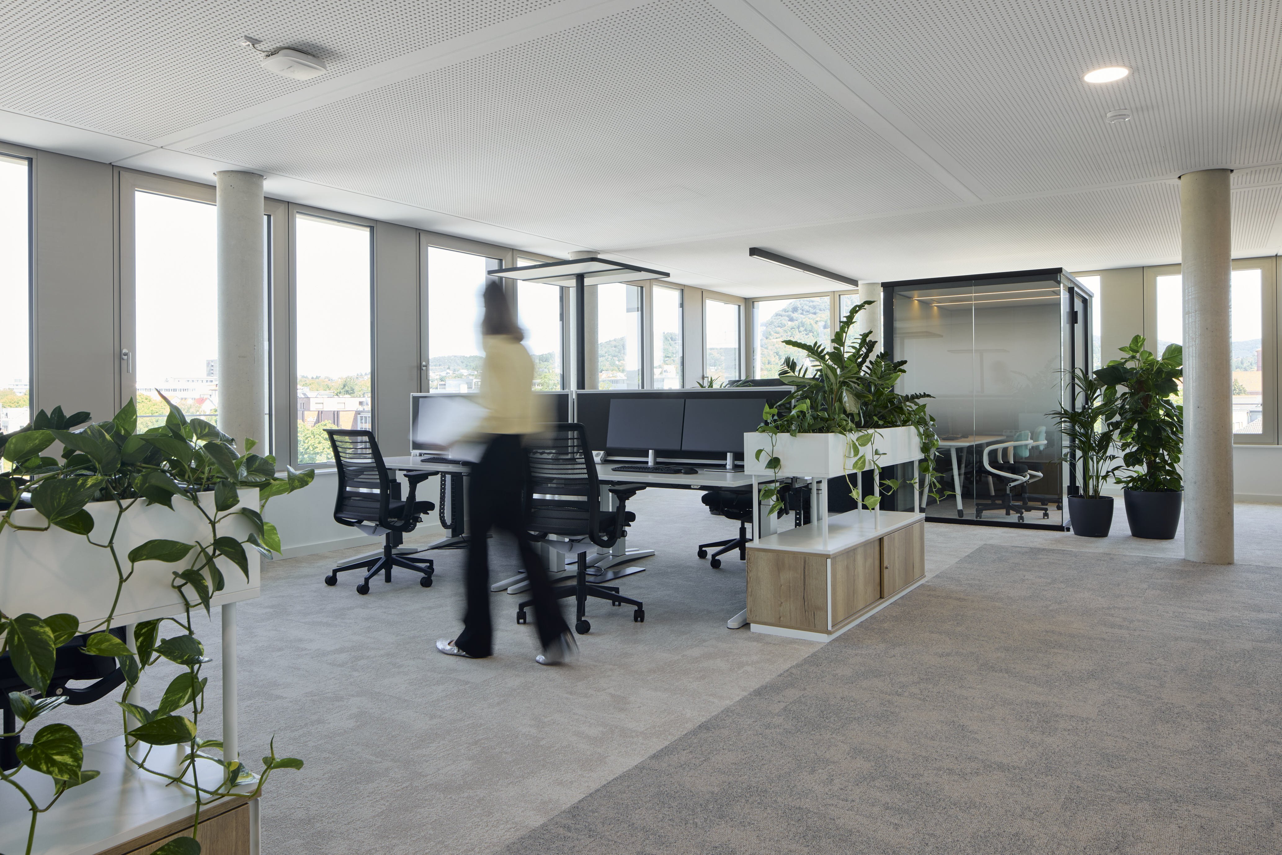 Offene Arbeitswelt mit Fokusboxen